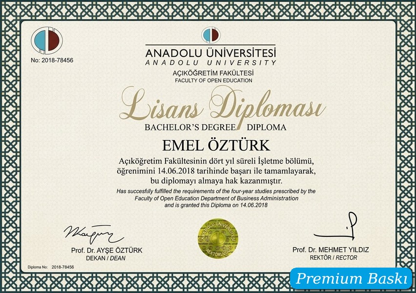 Diploma örneği 9